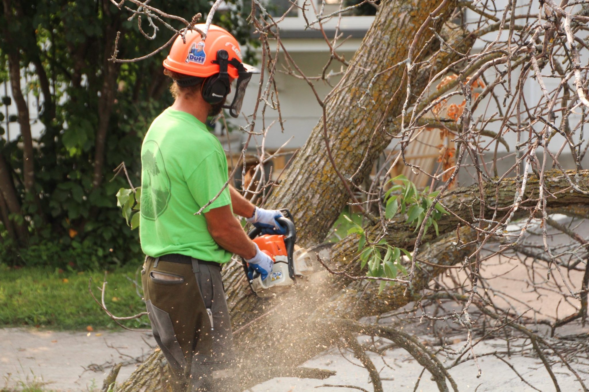 Certified arborist trimming a large tree branch safely in Ottawa backyard