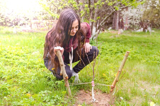 a young girl taking care of her newly planted tree