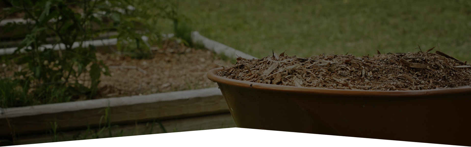 tree mulching