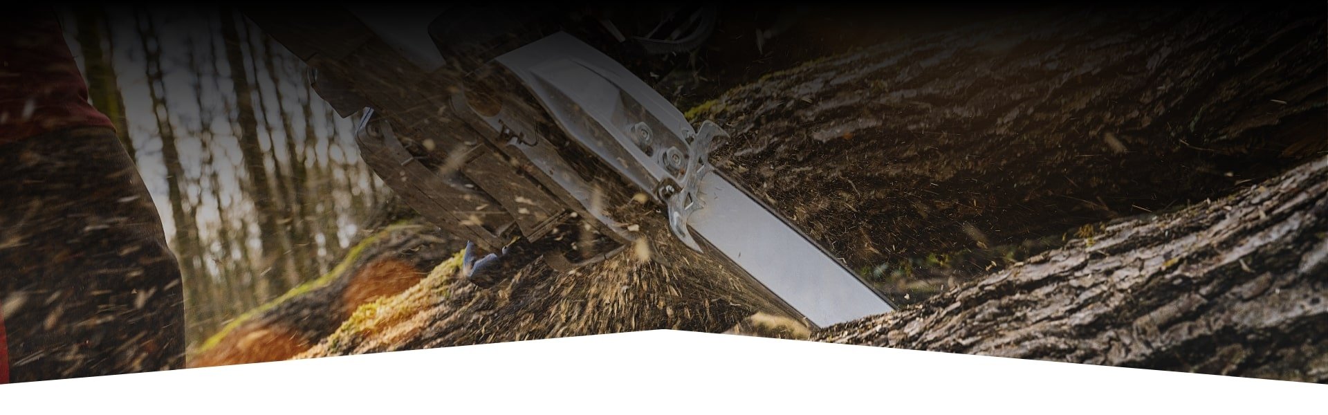 Tree cutting