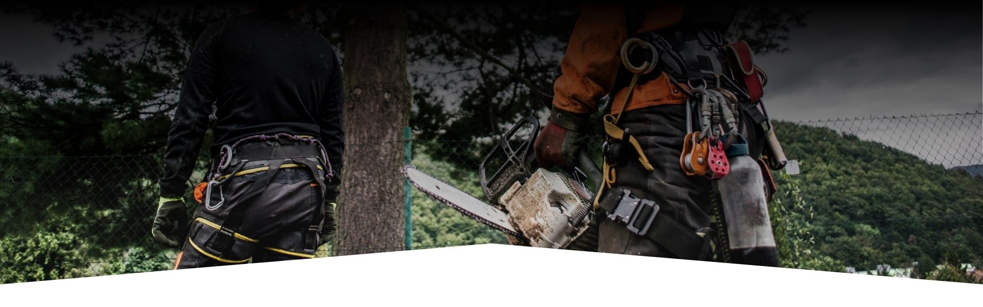 Tree cutting