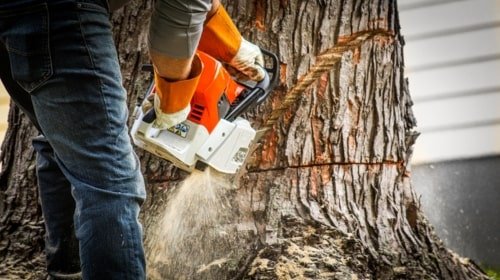 stump removal